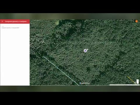 Forgotten Mayan City Discovered By 15 Year-Old Boy