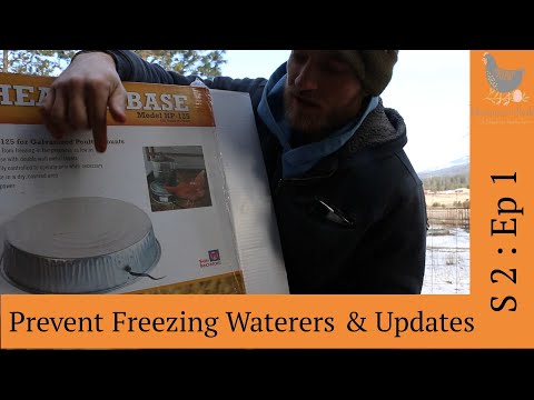 S:2 E:1 - Prevent Freezing Waterers and Homestead updates!