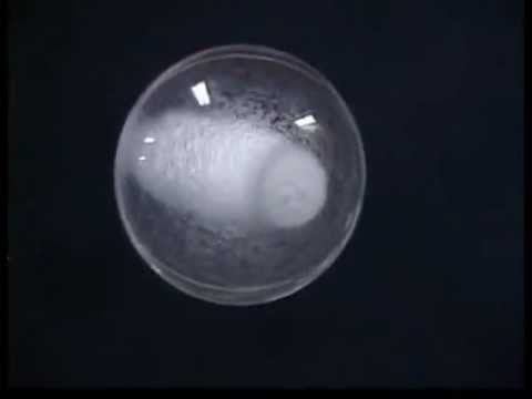 EXPERIMENT SHOWS HOW HOLLOW SPHERES FORM IN ZERO G