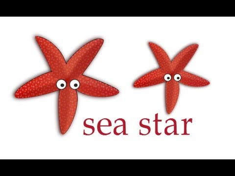 How to draw a sea star, #Kids, #YouTubeKids