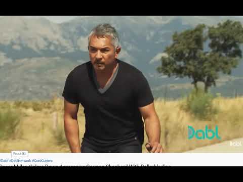 Cesar Millan - The Importance of a Specific Interaction Based Method - Flipping the Script