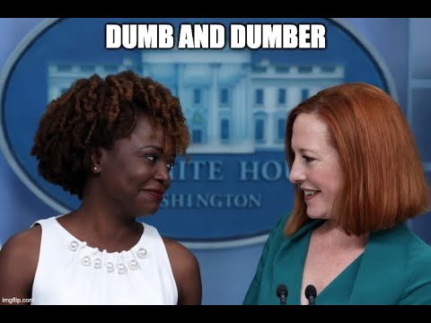 New Press Secretary Says She’s “A Black, Gay, Immigrant Woman: Who Is Not Smart [The Doctor Of Common Sense]