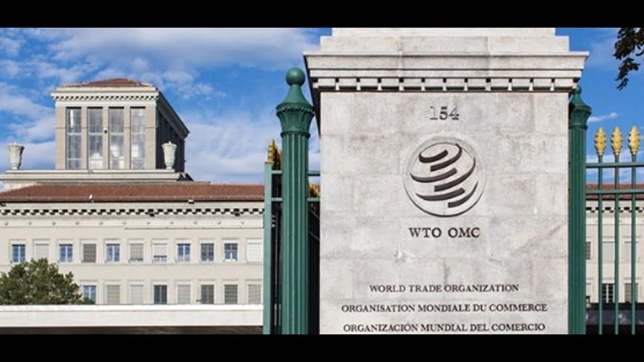 Responding to comments about Iraq and WTO July18 meeting 07/06/24