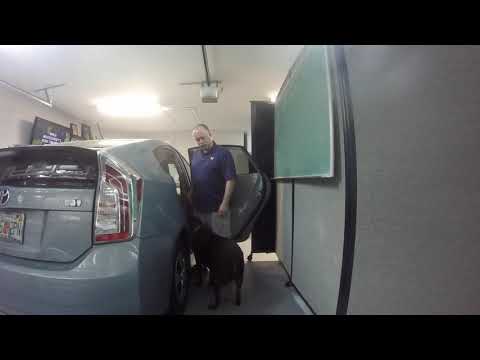 Central Florida Service Dog Training - Sade - Phase 1 - Vehicle Exercise