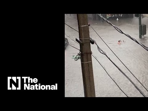 Local takes a dip in flooded street in Virginia