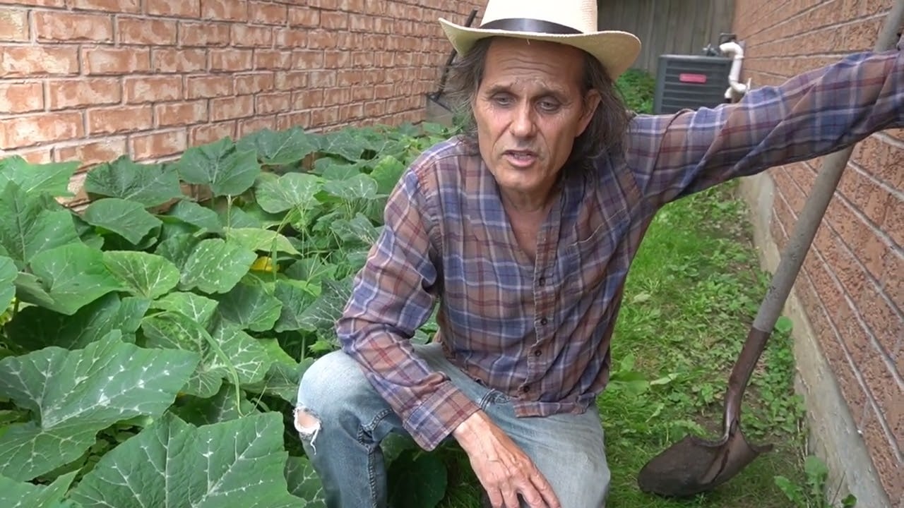 MUTANT KILLER SQUASH INVADE CANADA