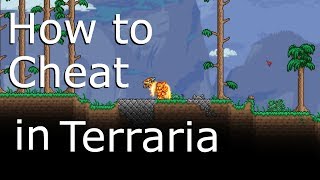 How to cheat in Terraria