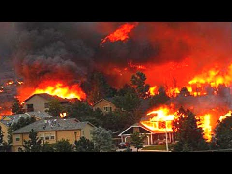 Impossible! Forest fires devastate Chile. Wildfire hit Collipulli, Araucania