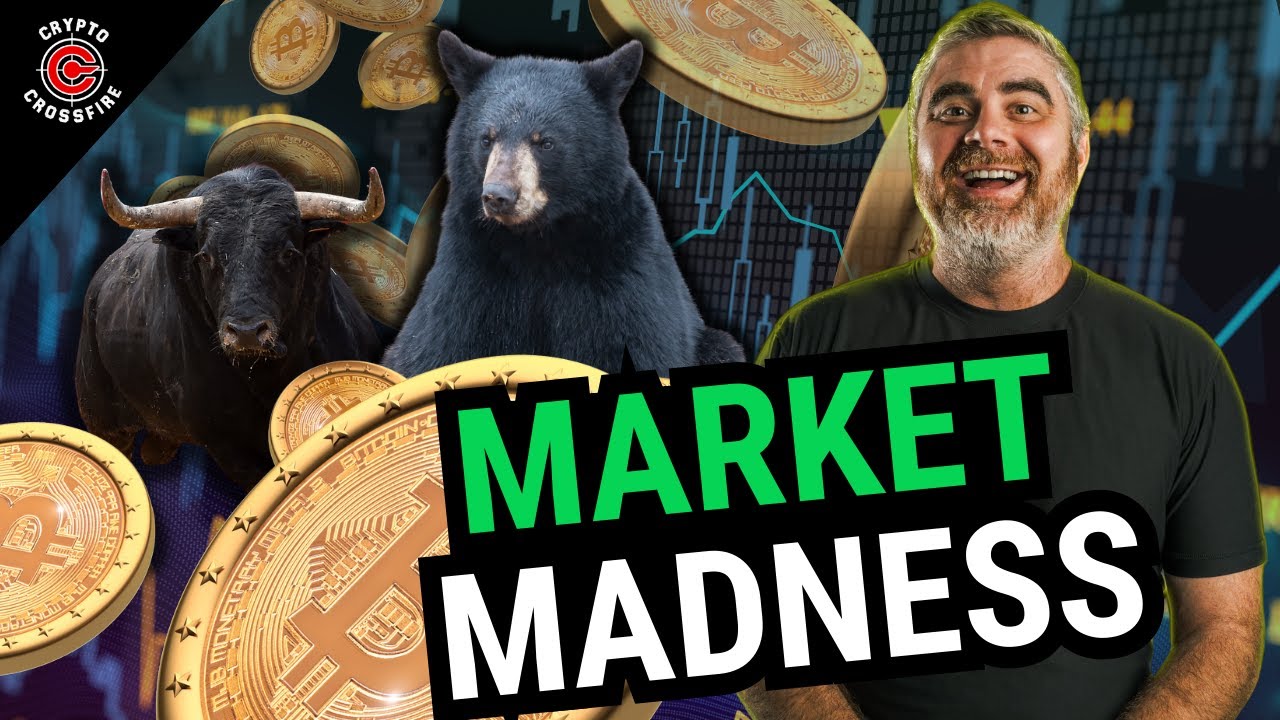 Bitcoin's Explosive Rally (Bulls and Bears Battle For Control)