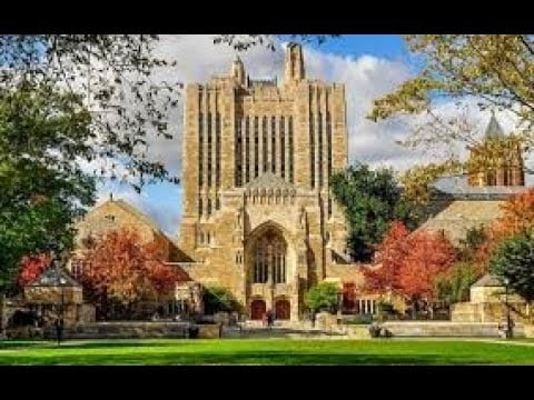 WHO ELSE WENT TO YALE TIM?