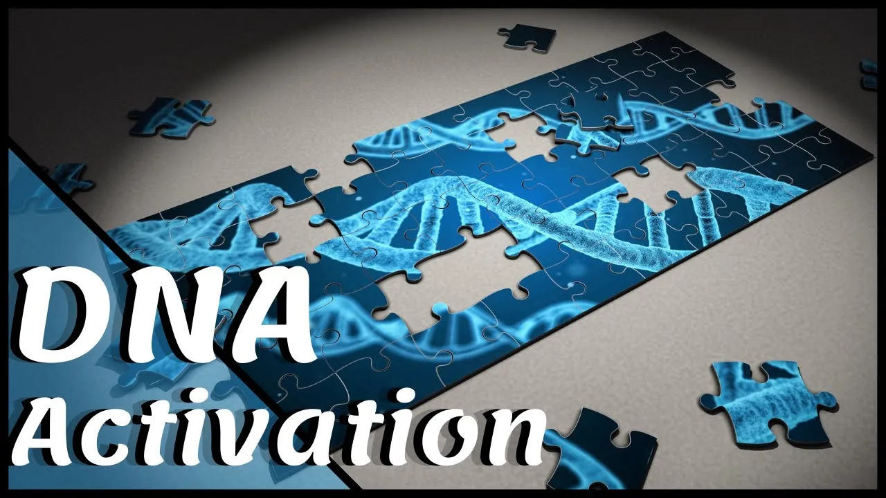 DNA Activation - December 2021 - Todd Bryson