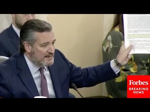 'Just Read It, Read It Yourself!': Ted Cruz Uses Nominee's Document To Discredit Her