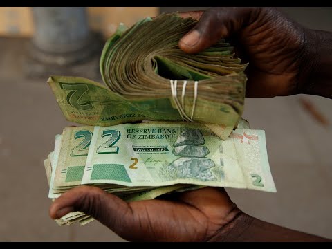 Zim dollar update for 08/05/22 -  there appears to be a trend