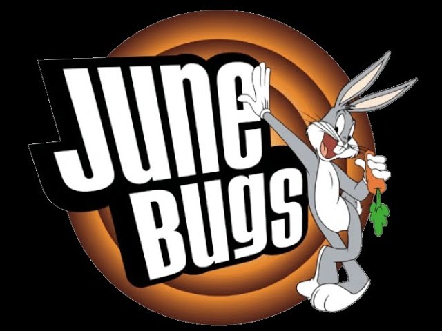 June Bugs 2001