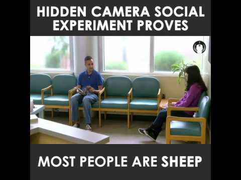 Social experiment - most people are sheep
