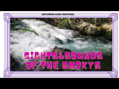 Sounds of the Smoky mountains