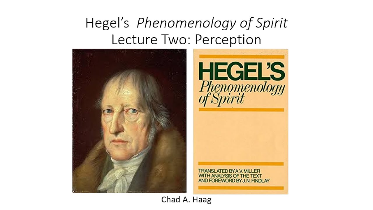 Hegel Phenomenology of Spirit Lecture 2 Perception