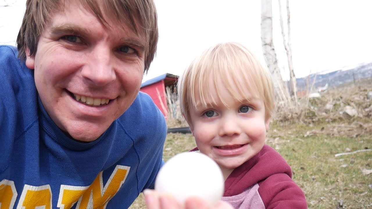 Timmy III Gets the Egg from our Chicken Coop! McGaffin Father and Son