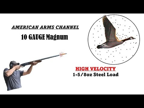 10 Gauge High Velocity Steel Shot Load: 1-5/8 Ounces of High Performance