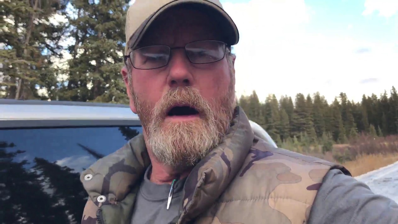 Good Samaritan highway tree Removal