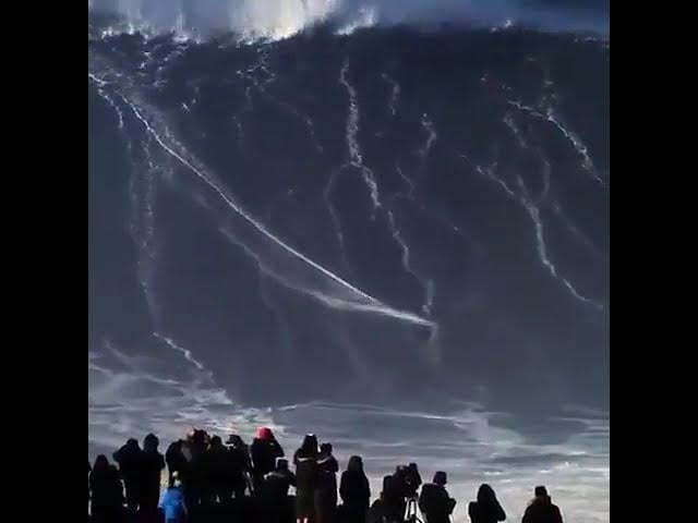 HAVE YOU SEEN THIS? Surfing For Your Life -- And I Mean Literally!