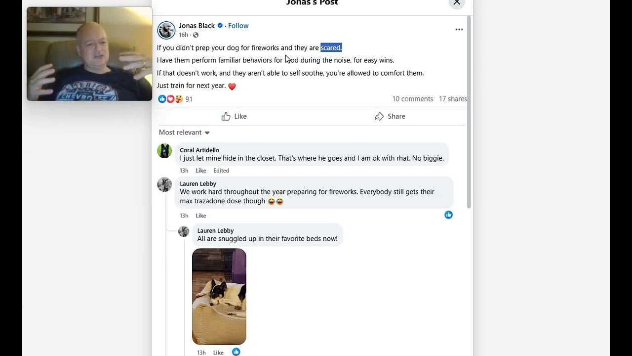 Jonas Black - The Social Media Fireworks of Confused Balanced Dog Trainers - Flipping the Script
