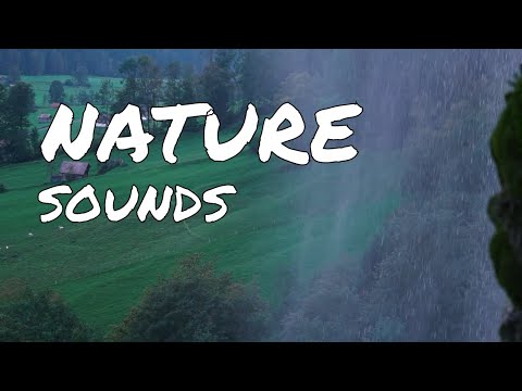Nature Sounds And Calming Waterfall Meditation 🌿 Calming Nature Waterfall Sounds