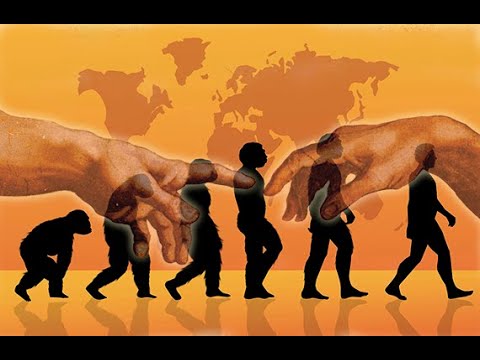 Should a Catholic be an Evolutionist? ~ Former atheist with PhD in Evolution