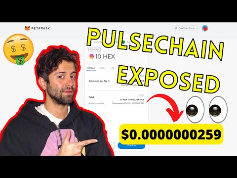 Ok Wow… This Is How HEX and PulseChain Dominate Crypto