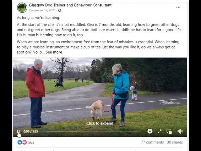 John Mcguigan - Glasgow Dog Trainer - Bribery based Methods put Dogs and Owners at Risk
