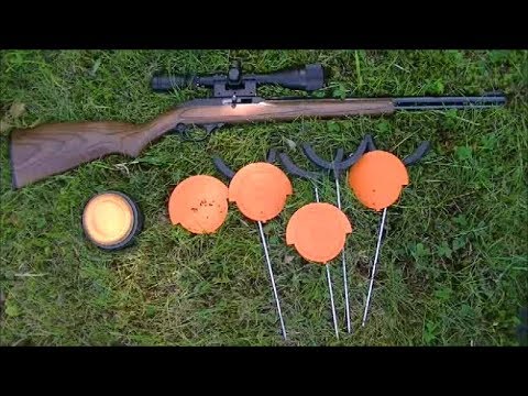 Pigeon Perch Target Review & Test