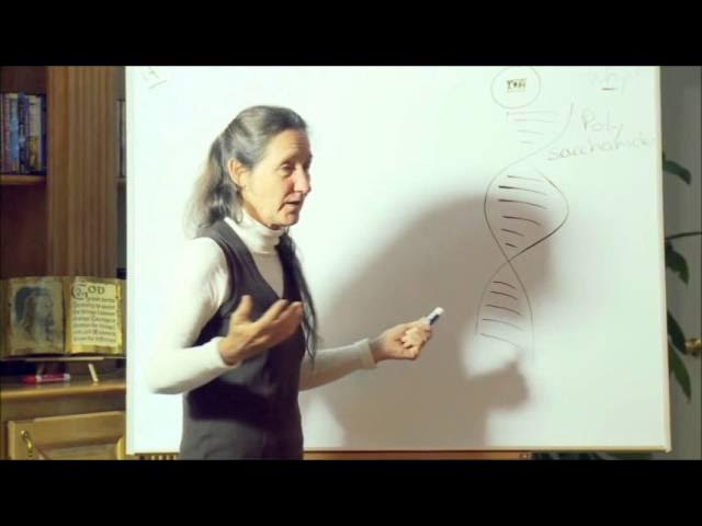 The True Cause of Disease (Clip 1) - Barbara O'Neill