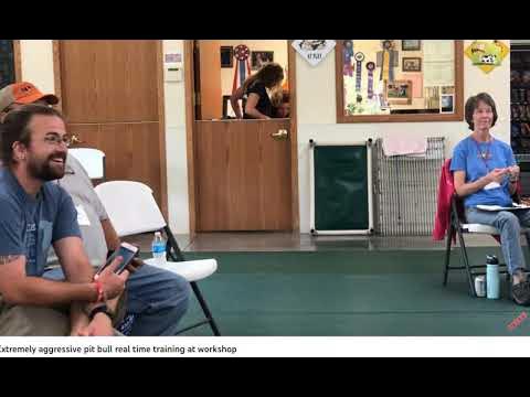 Larry Krohn - Attempting to find the "Working level" within the Confusion of Balanced Dog Training