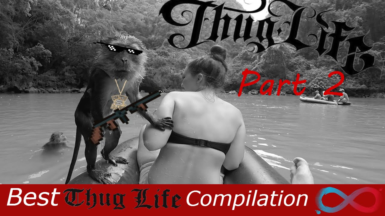 Best THUG LIFE & Turn Down For What Compilation 2015 Part 2