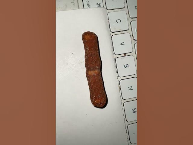 CHARLESTON CHEW MINI FOR AUCTION!
