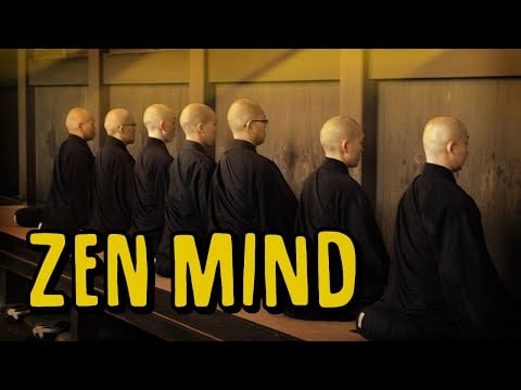 Zen Awakening: You Are Consciousness