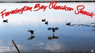Farmington Bay Duck Hunting