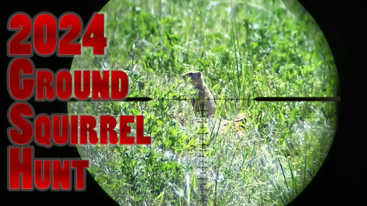 Pest Elimination: 2024 Ground Squirrel Hunt/Culling 17hmr, 22wmr, 20practical, 22cal Airgun