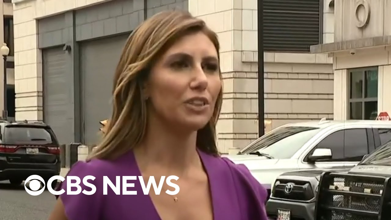 Trump attorney Alina Habba speaks outside D.C. court before former president's arraignment