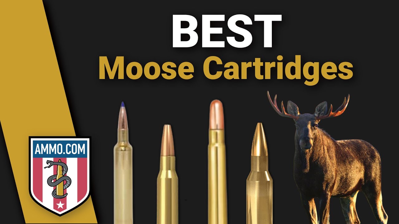 Best Moose Hunting Cartridges: Bring Down Bullwinkle