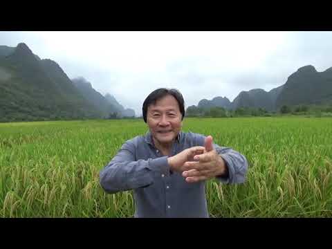 How to increase qi flow to heal illnesses by practicing 6 Directions Method Tao