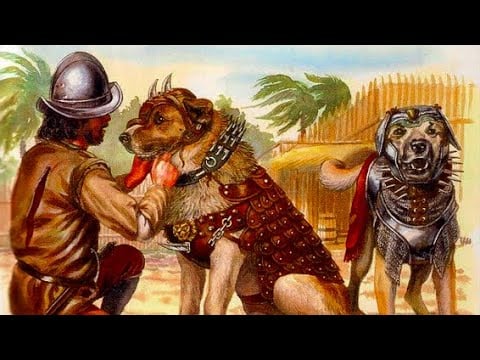 War Dogs - Dogs used in classical and medieval warfare