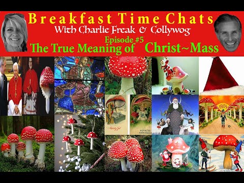Breakfast Time Chats ~ Episode #5   ~ The True Meaning of Christ - Mass
