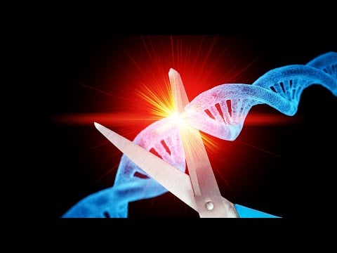 Biodiversity: Controlling Human DNA (through GMO vaccines) Is The Final Frontier