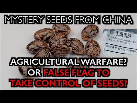 MYSTERY SEEDS: Chinese Bioterrorism, or False Flag to Control Seeds?
