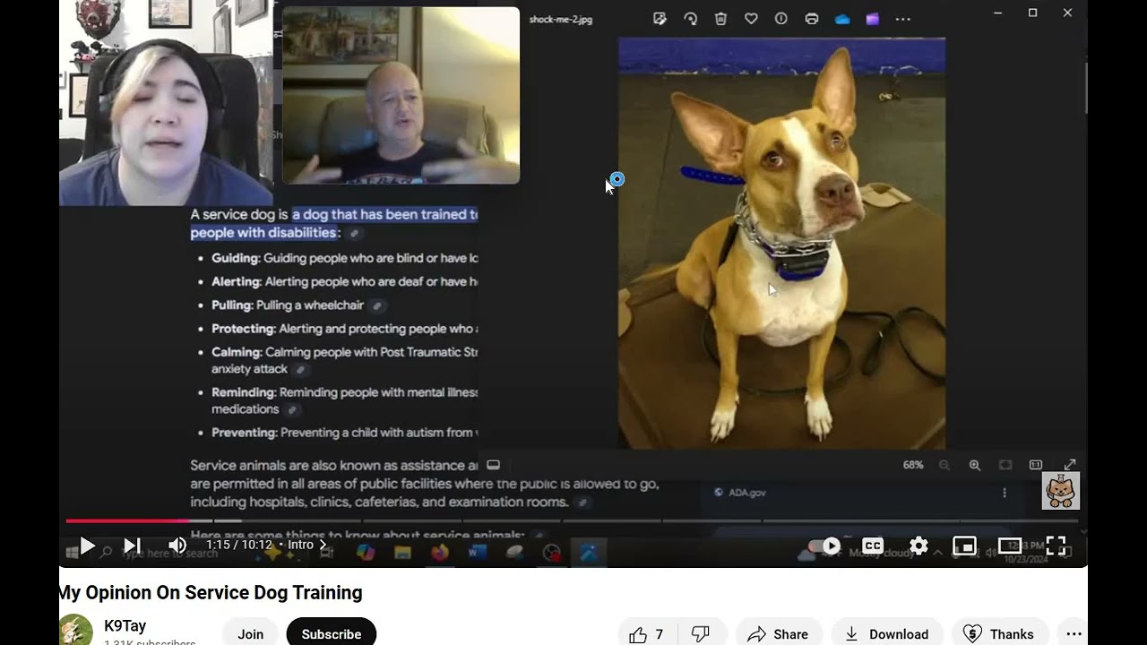 K9 Tay - Responding to the Bribery based Talking Points regarding Service Dog Training - Pt 2