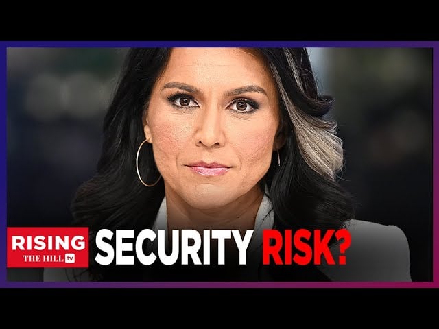 Matt Taibbi: Tulsi Gabbard HARASSED By TSA’s Creepy QUIET SKIES Surveillance Program