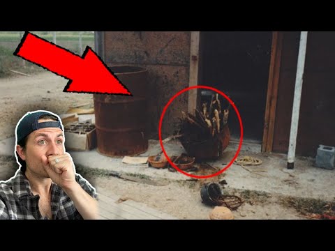 Top 3 stories that sound fake but are 100% real | Part 12