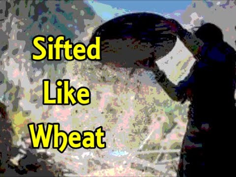 Sifted Like Wheat - Devotional #3