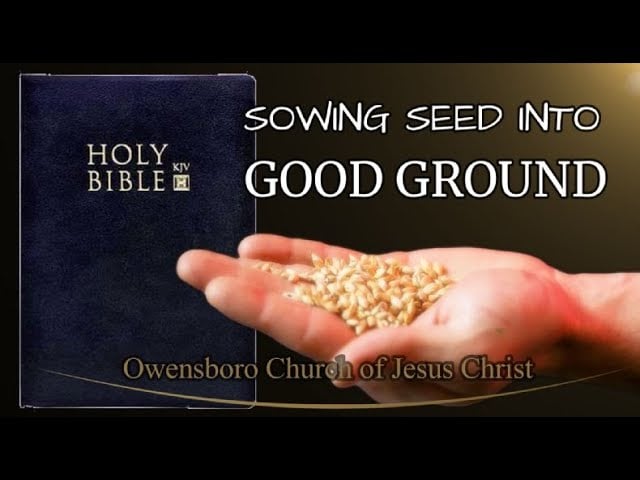 3-23-2024 ─Sowing Seed Into Good Ground